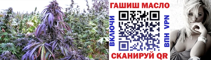 купить   Рыльск  Дистиллят ТГК гашишное масло 